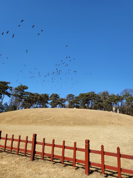 조선왕릉은 자연과 독특한 건축양식이 조화를 이룬 공간임을 파란 하늘을 나는 기러기가 확인시킨다. (사진=위성지 여행작가)