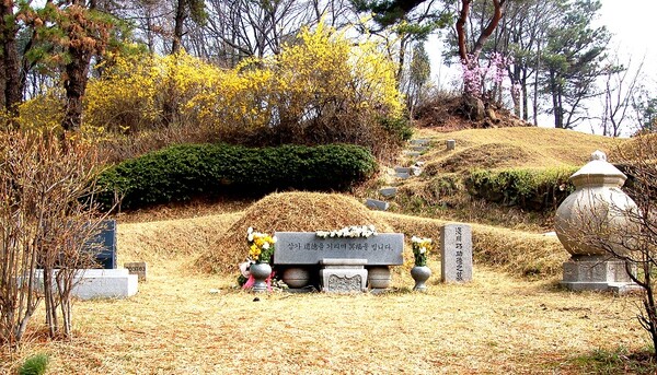 망우리공원 묘지에 모셔진 아사가와 다쿠미의 무덤. (사진=위성지 여행작가)