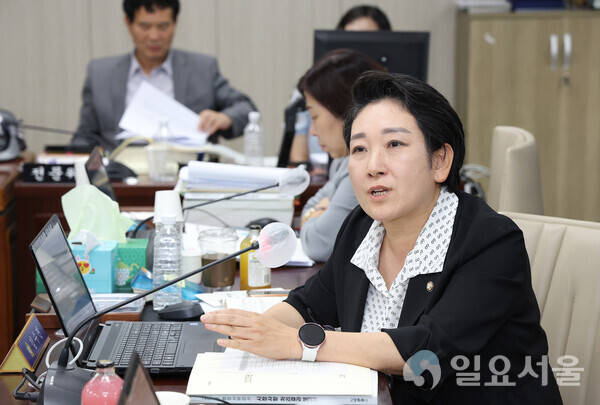 고양시의회 김수진 의원(국민의힘, 일산3동 · 대화동) 사진