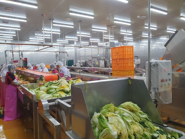 대전시 특사경은 김장철 맞아 12월 중순까지 식품업소 단속을 실시한다.