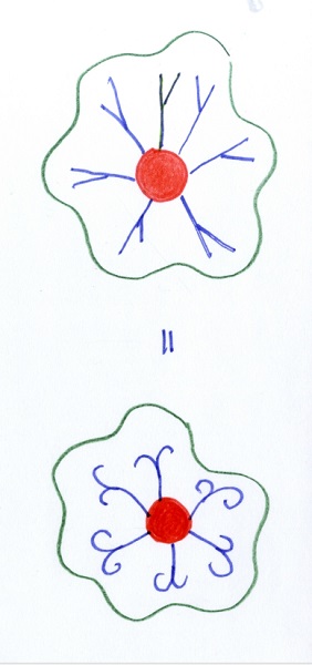 사진 5-1. 연잎을 위에서 본 것으로 중앙의 보주로부터 잎맥이 제2영기싹으로 사방으로 뻗어간다. 사진=강우방 원장