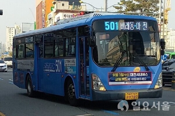 대전 시내버스 이미지 사진