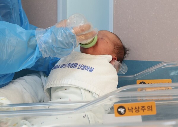 경기도 일산 차병원 신생아실. 뉴시스