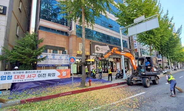 대전시는 은행나무 암나무 2500 그루를 교체 했다.[사진 = 대전시]