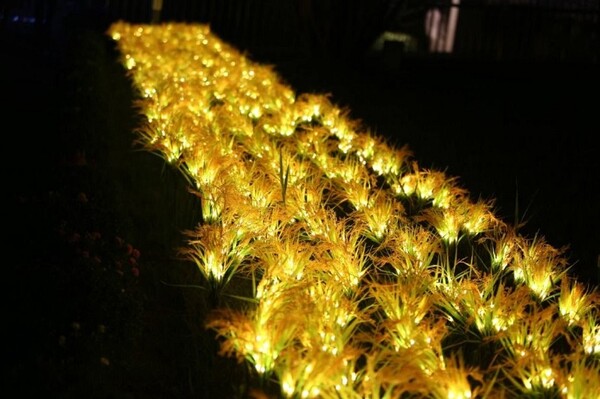 사진=김제시 제공