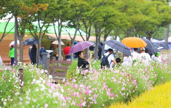 사진=김제시 제공