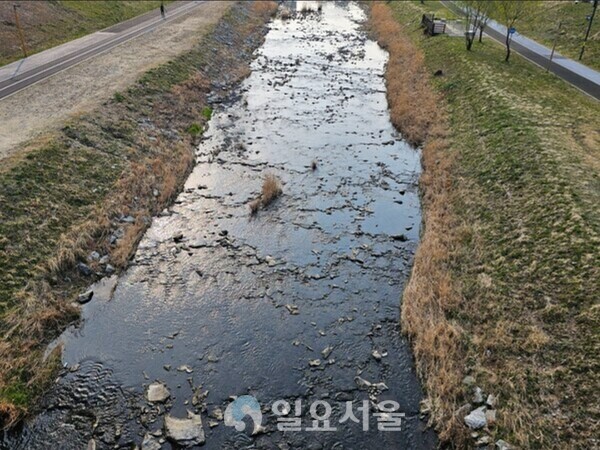 지난 4월 세종시 도심을 흐르는 제천 경관(사진=김교연 기자)