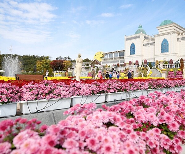 사진=임실군 제공