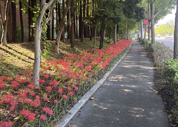 대전서구 월평 산책로 [사진 = 대전시]