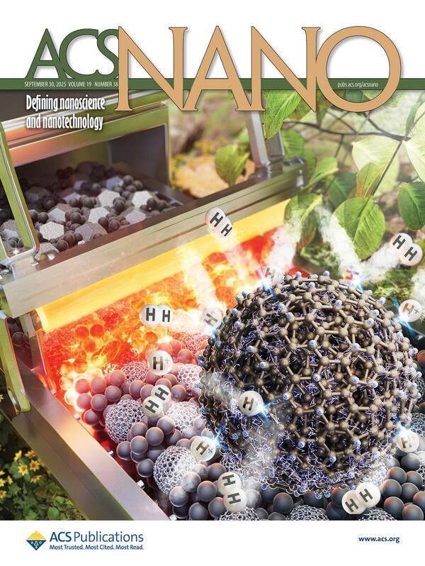 ACS 9월화 속표지 논문 이미지[사진 = 카이스느]