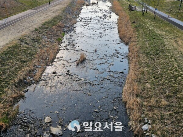 지난 4월  세종시 도심을 흐르는 제천의 전경(사진=김교연 기자)
