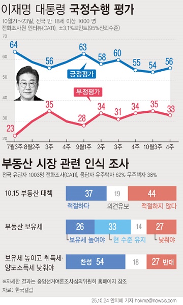 이 대통령 지지율과 부동삱 시장인식조사, 뉴시스
