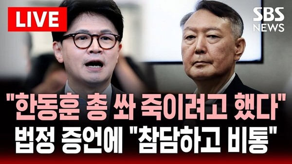 유튜브 SBS 뉴스 화면 캡처