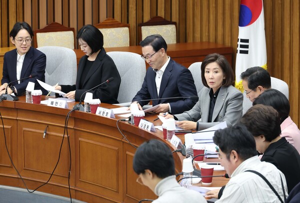 나경원 국민의힘 지방선거 총괄기획단 위원장이 11월 7일 오후 서울 여의도 국회에서 열린 제9회 전국동시지방선거 총괄기획단 전체회의에서 발언을 하고 있다.[뉴시스]