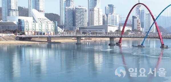 대전이미지  갑천 엑스포 대교 [사진 = 육심무 기자'