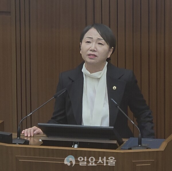 발언하는 홍나영 의원(사진=김교연 기자)