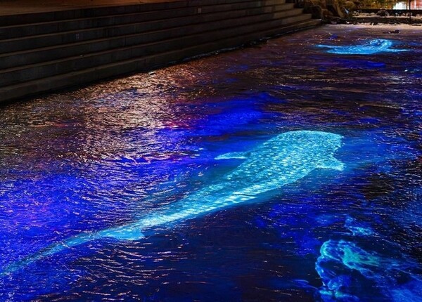 사진=서울시 제공