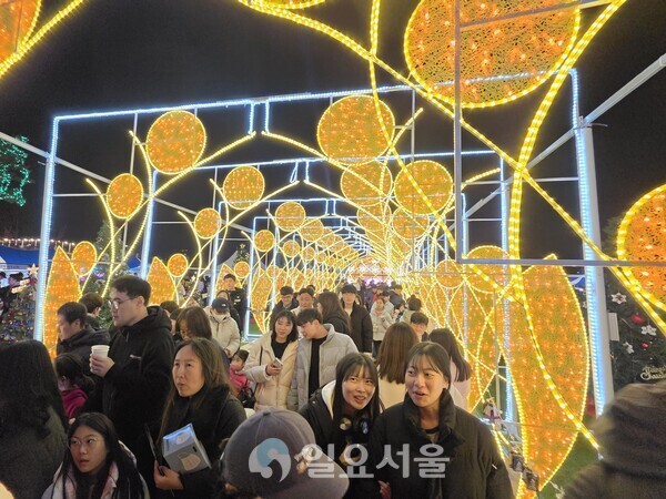 성탄트리 앞에 설치된 ‘황금빛 LED 터널’속을 걷고 있는 세종시민들(사진=김교연 기자) 