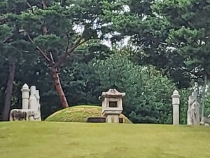 (주)성지여행 이미지