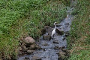 [특별기획] 함께 즐기는 '경기도의 생태공원'을 찿아가다 - 뉴스 썸네일 이미지